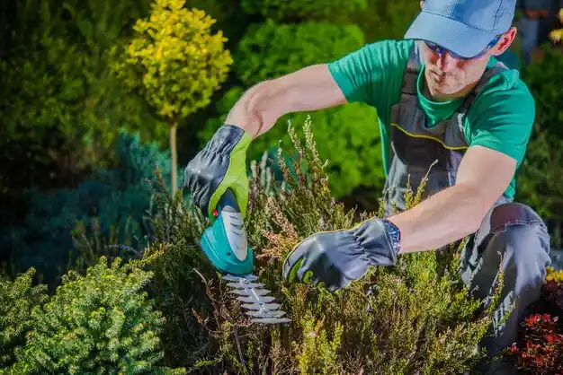 landscaping services Cheboygan